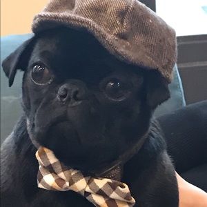 Meet your Posher, Brandi